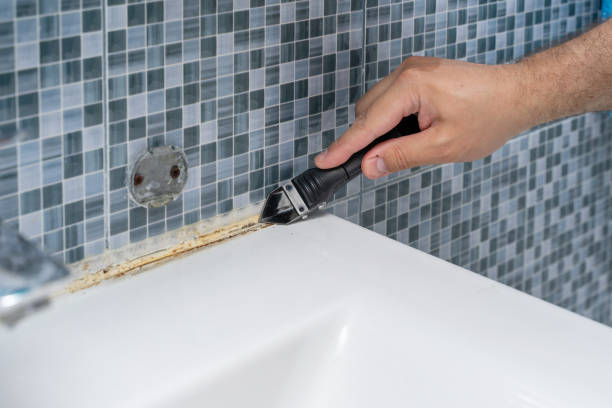 Best Mold Removal Process  in Breinigsville, PA